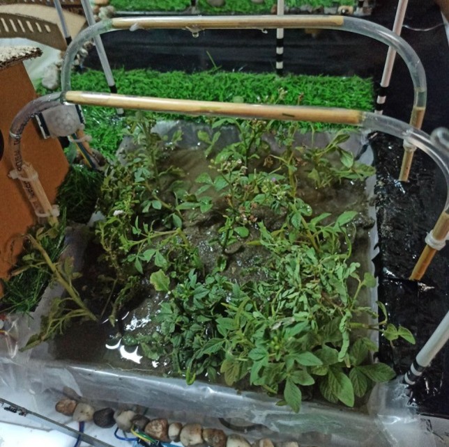 Smart Agriculture System